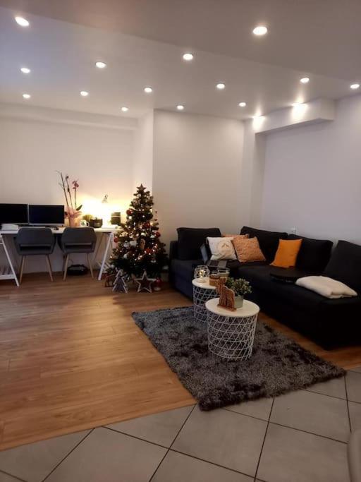 Superbe Appartement Moderne En Rez-De-Chaussee Ozoir-la-Ferriere Exterior photo